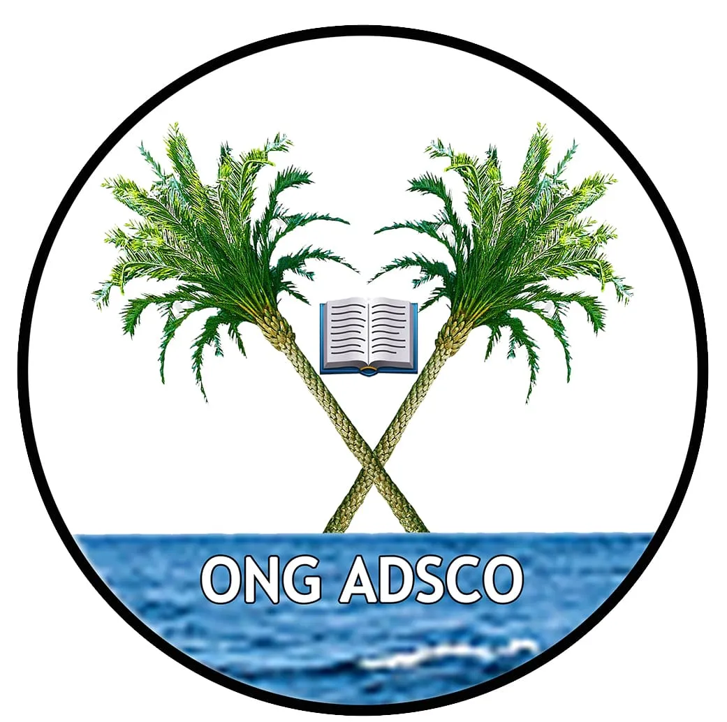 Association pour le Développement Socio Culturel d'Ounianga, ONG ADSCO